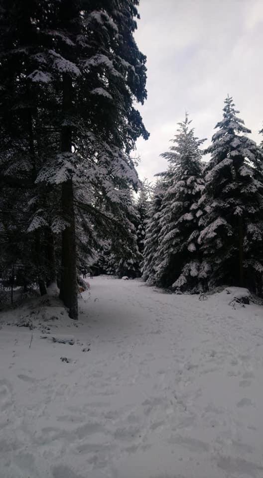 Auberge De Thelis Екстериор снимка